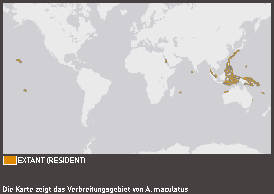 Verbreitungskarte Warzenanglerfisch