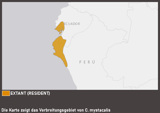 Verbreitungskarte Weißschwanz-Blaurabe