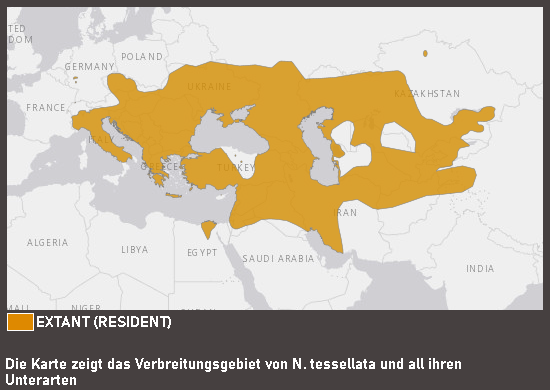 Verbreitungskarte Würfelnatter