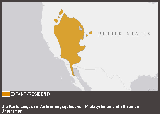 Verbreitungskarte Wüstenkrötenechse