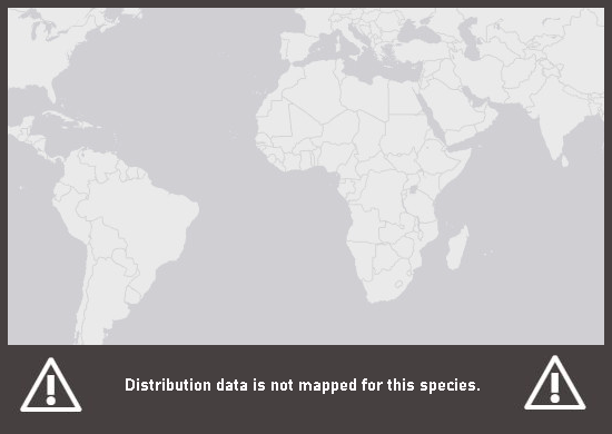 Verbreitungskarte Zebrafalter
