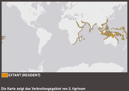 Verbreitungskarte Zebrahai