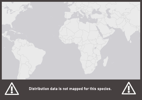 Verbreitungskarte Zwerg-Höckerschildkröte