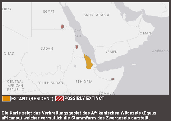 Verbreitungskarte Zwergesel