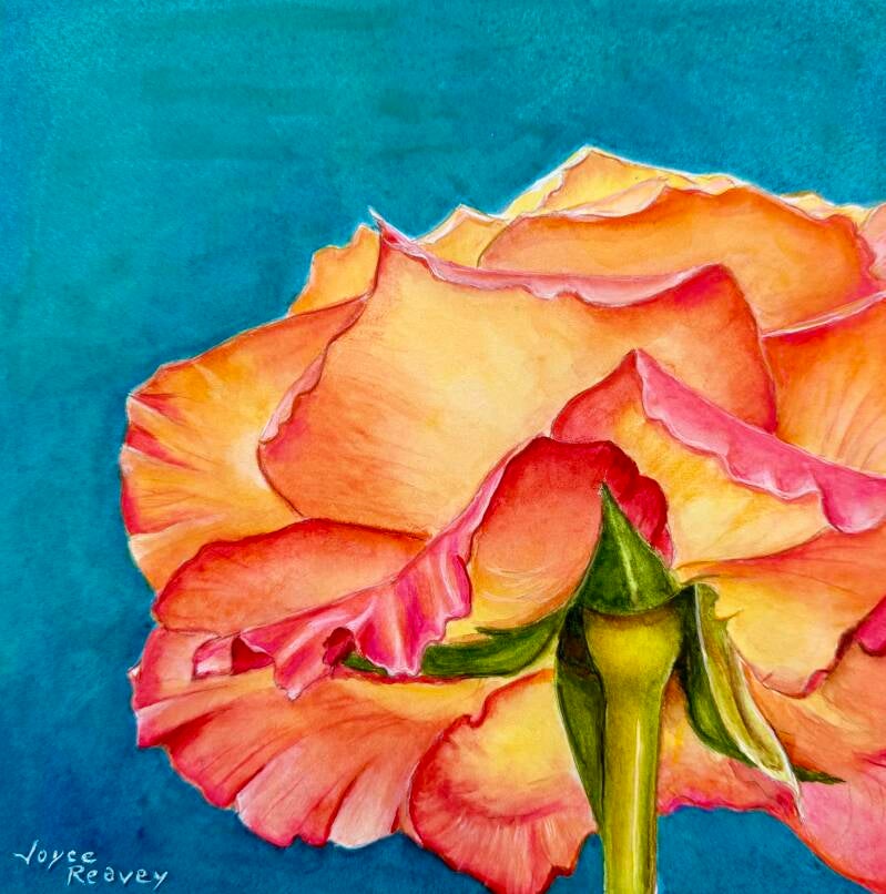 "Shy Beauty Two"  7.5" x 7.5" unframed size, $150 12" x 12" framed