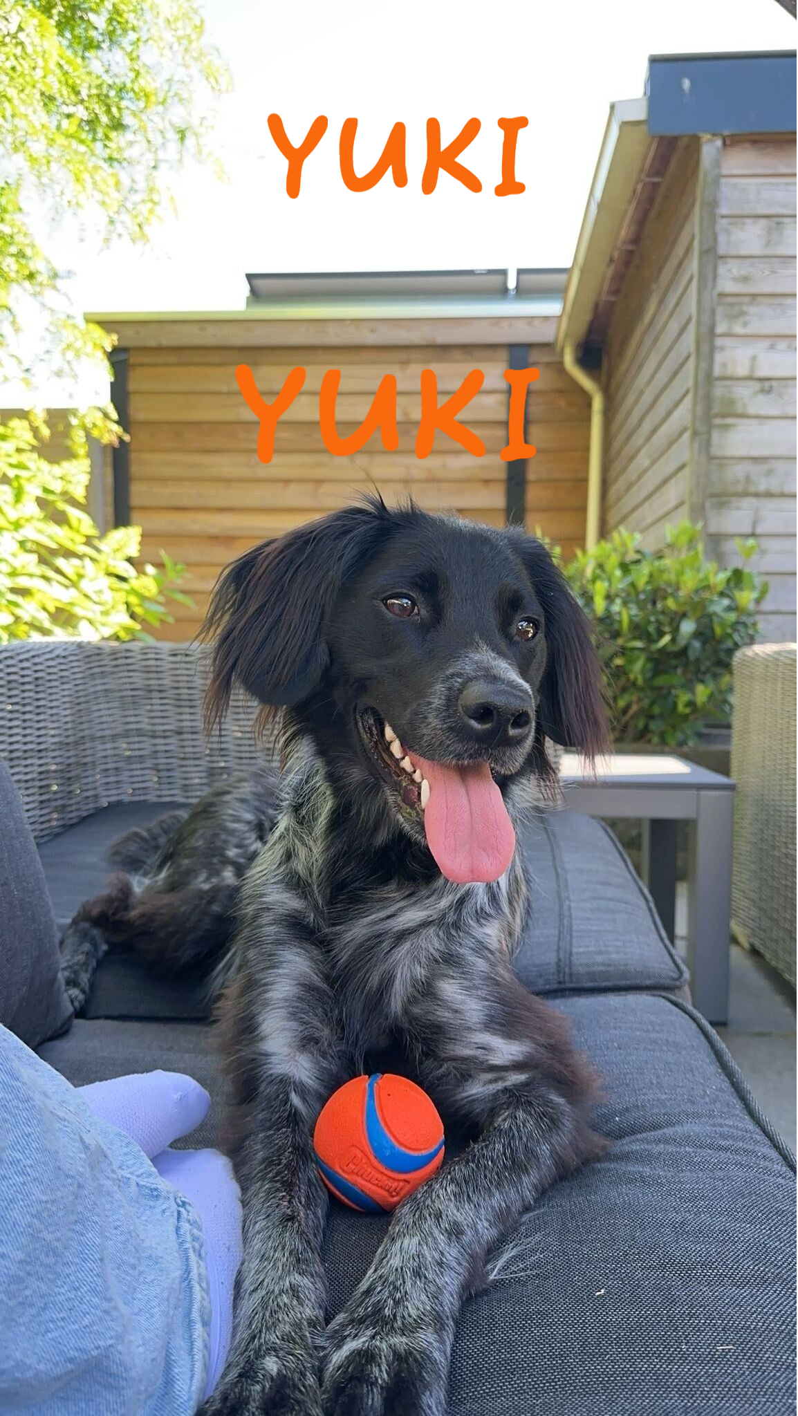 Yuki
