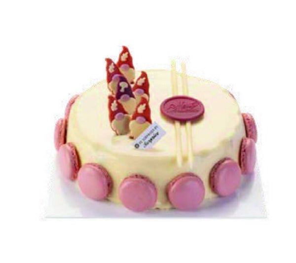 Strawberry Chocolate CheeseCake rond 6 personen (ENKEL AFHALING)