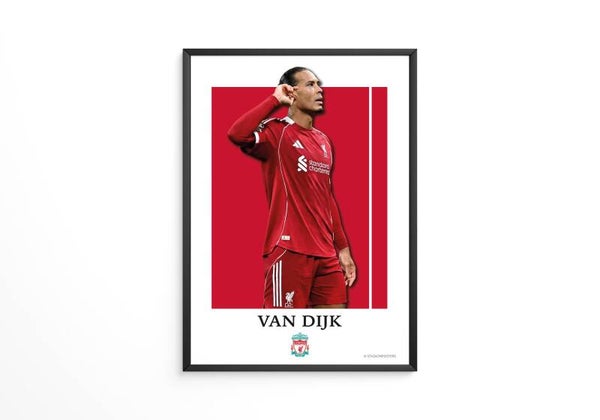 Virgil van Dijk - Liverpool