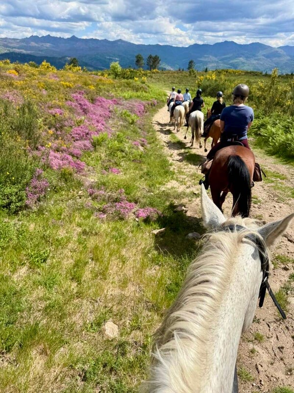 Semana ecuestre con alojamiento en Hostel Rural