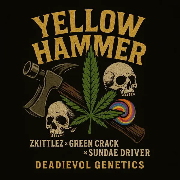 Yellow Hammer PHOTO REG 8pk