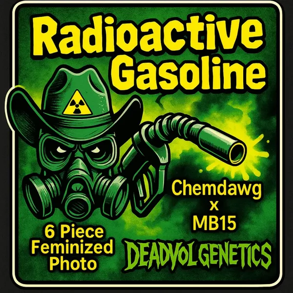 Radioactive Gasoline Photo fem