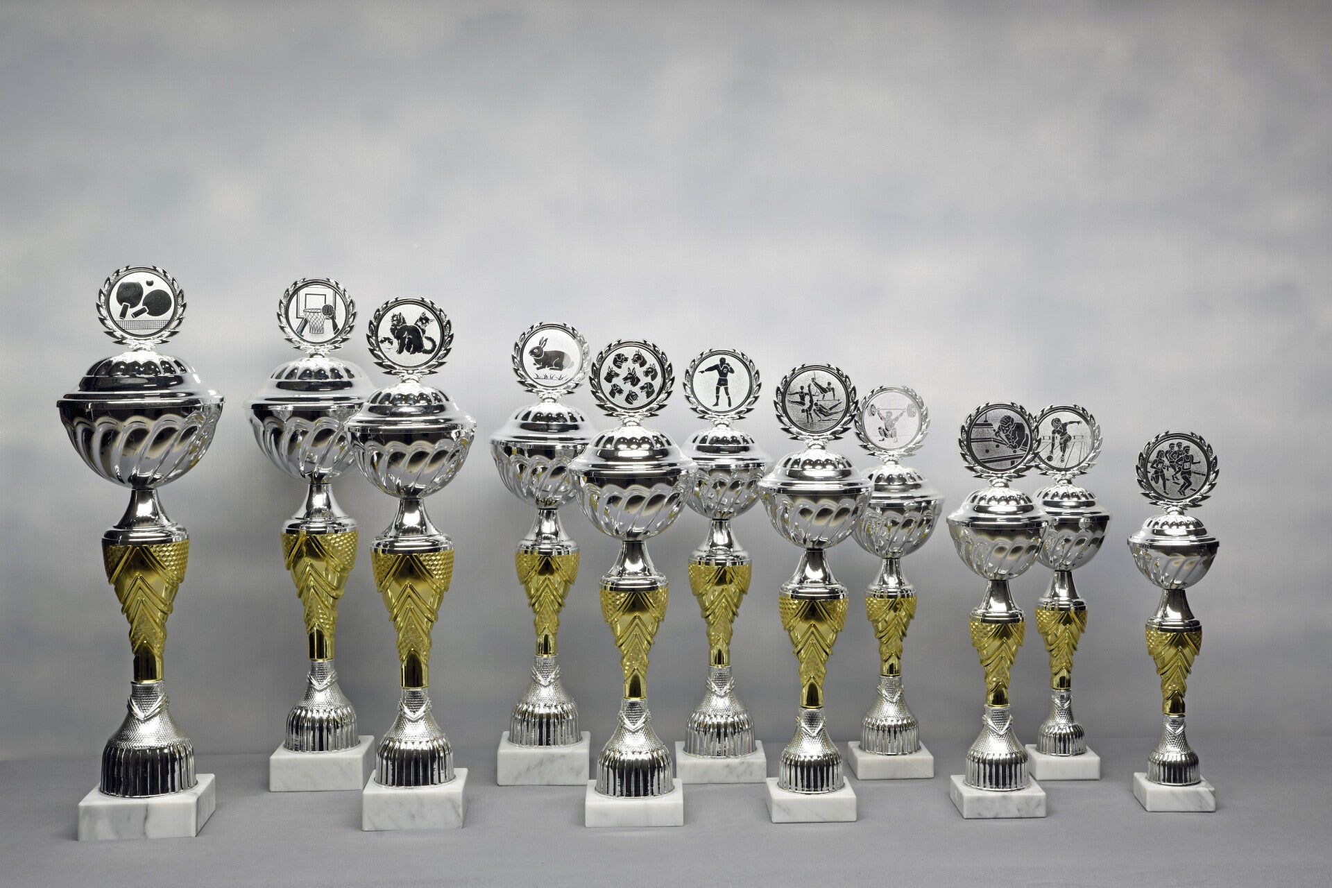 Beker Z604/11 zilver/goud