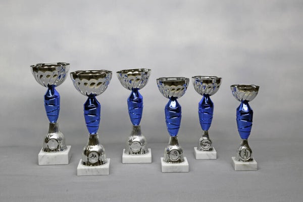 Beker Z 616/06 Zilver blauw