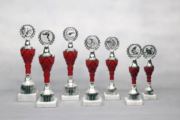 Beker Z 624/07 zilver rood