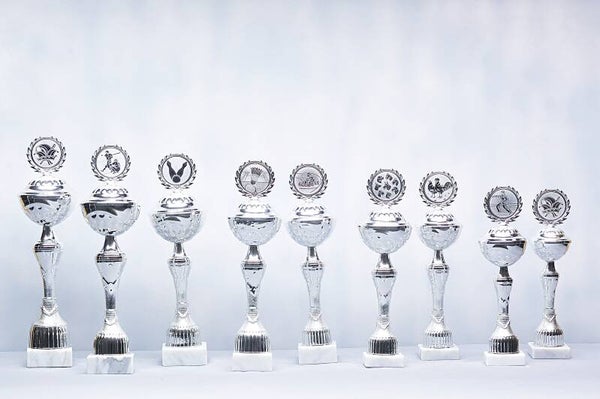 Beker Zilver Z 507/11