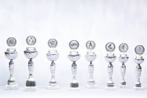 ZIlver beker Z 520/08