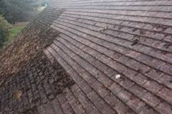 roof cleaning in camberley