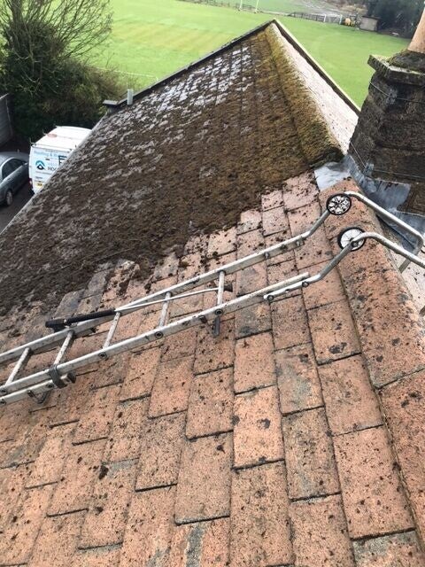 Moss Removal on Roof in Surrey