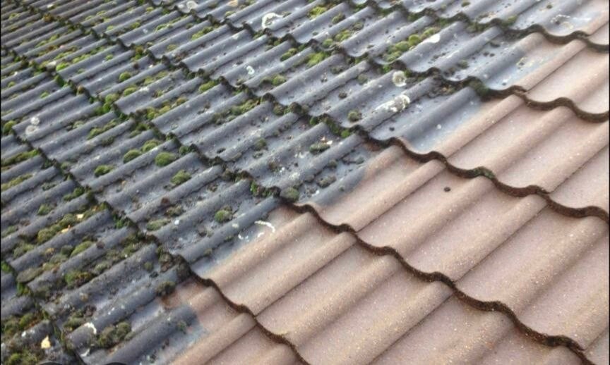 Moss Removal in Berkshire
