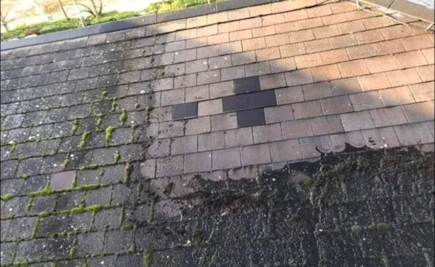 Moss Removal in Bucks