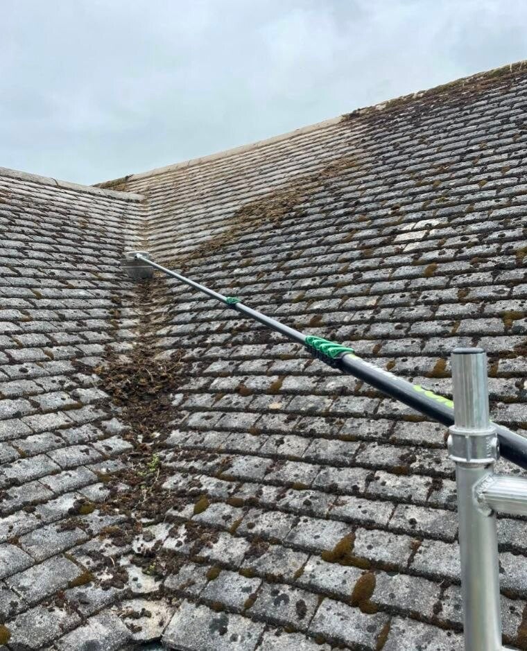 roof cleaning in guildford