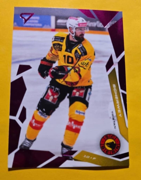 SCHERWEY TRISTAN / PINK