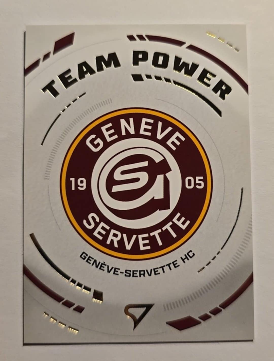Logo Team GSHC Team Power
