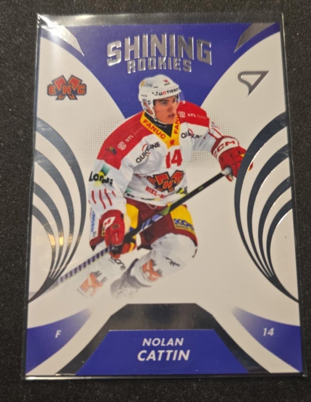 Nolan Cattin. Shining Rookies