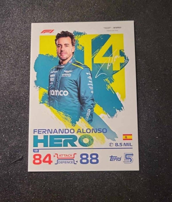 49/ Fernando Alonso