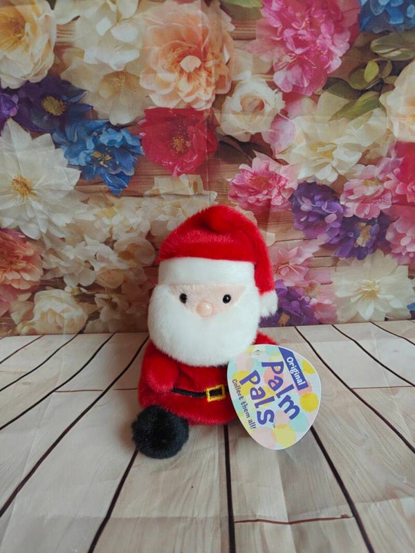 Kerst : Palm Pal Kerstman