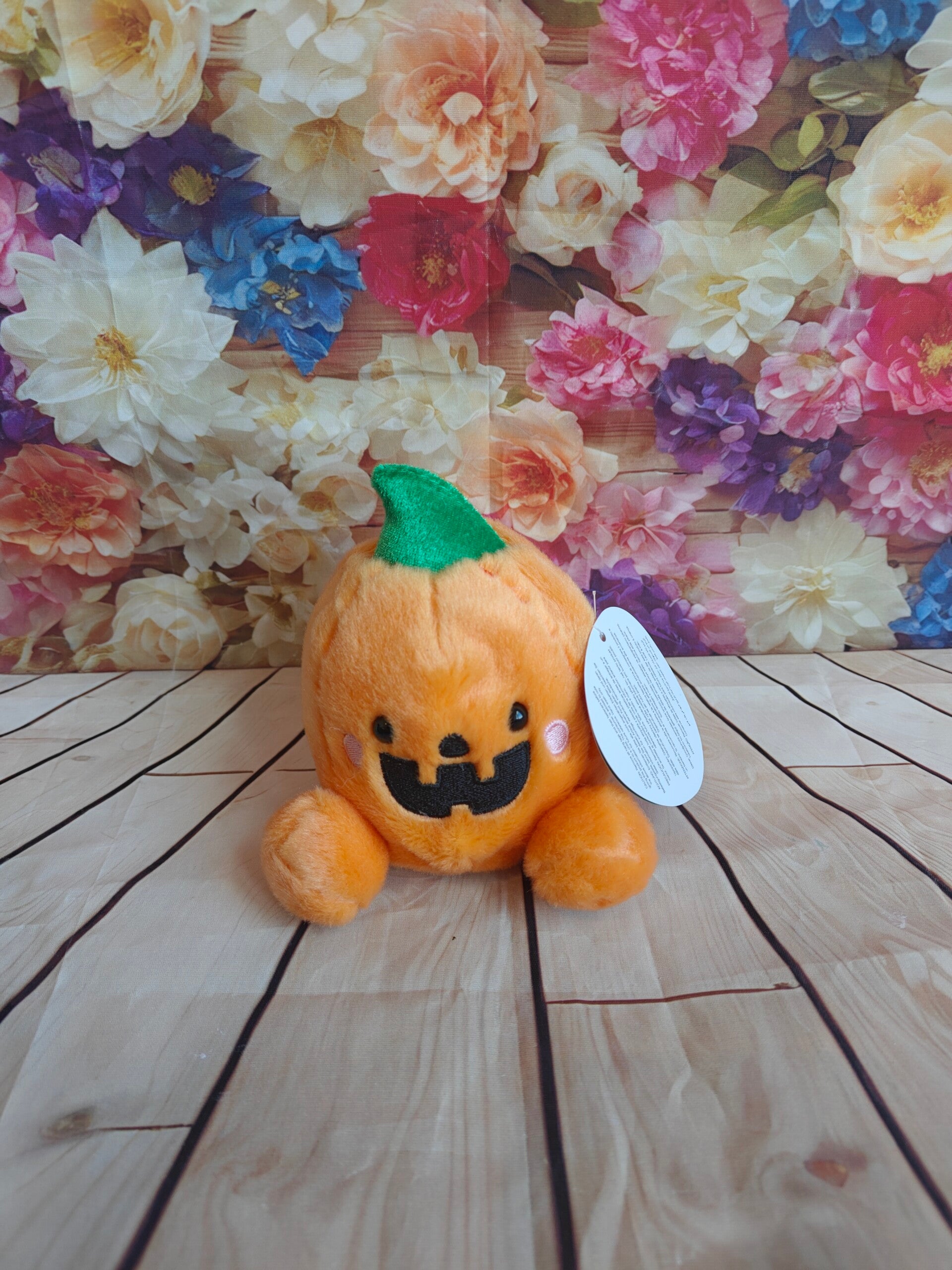 Halloween :  PalmPal Pompoen