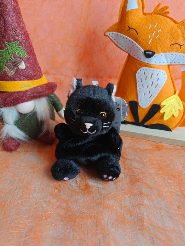 Halloween : Palm Pal Zwarte Kat