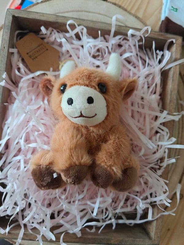 Sleutelhanger  Highland Cow