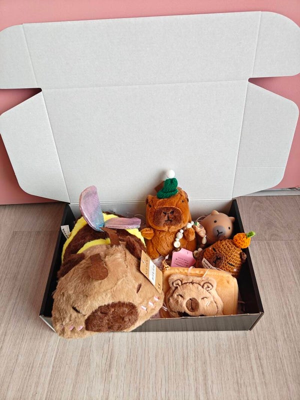 CapyBara Cadeaubox