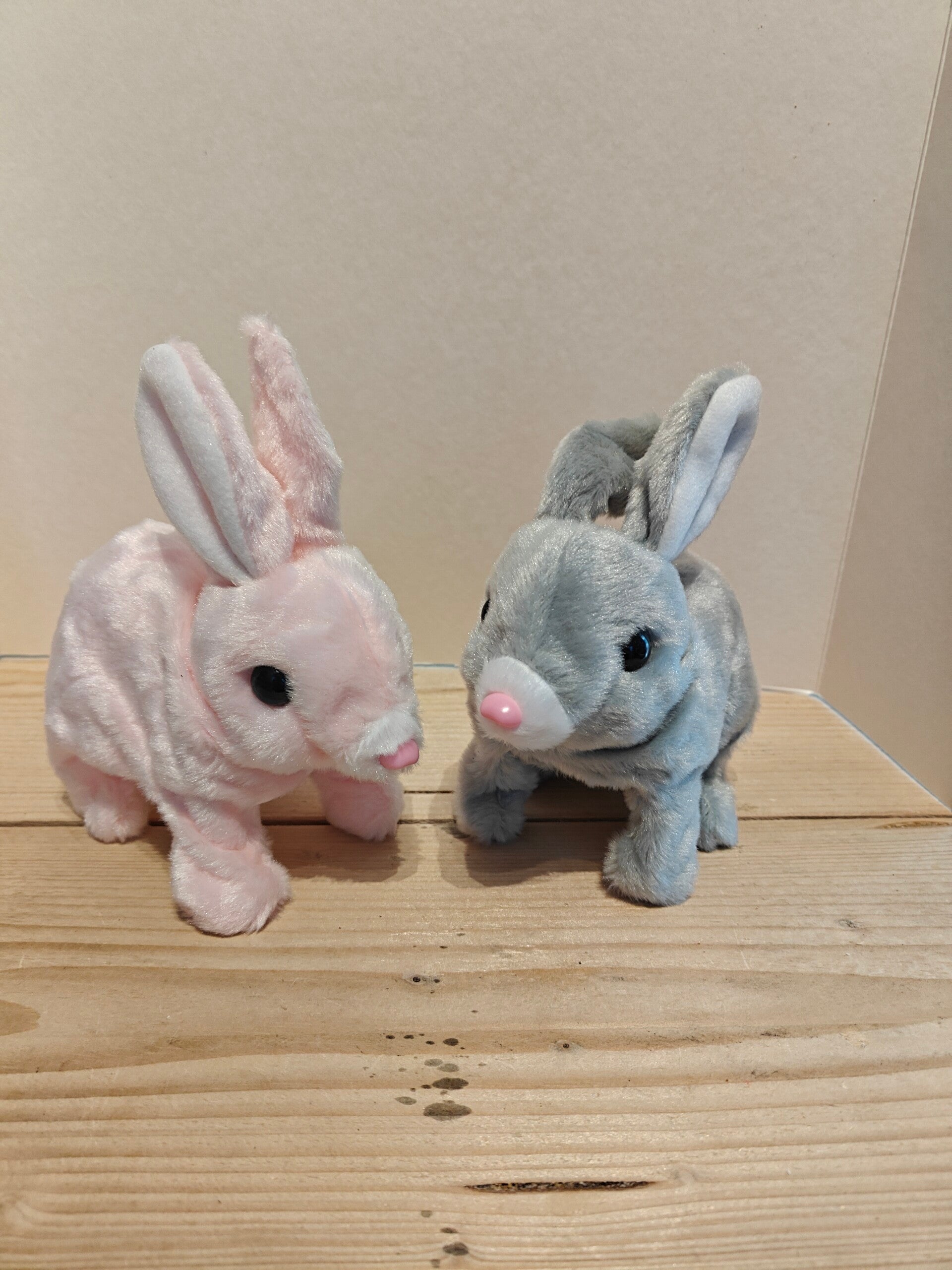 Pasen : Wandelend konijntje