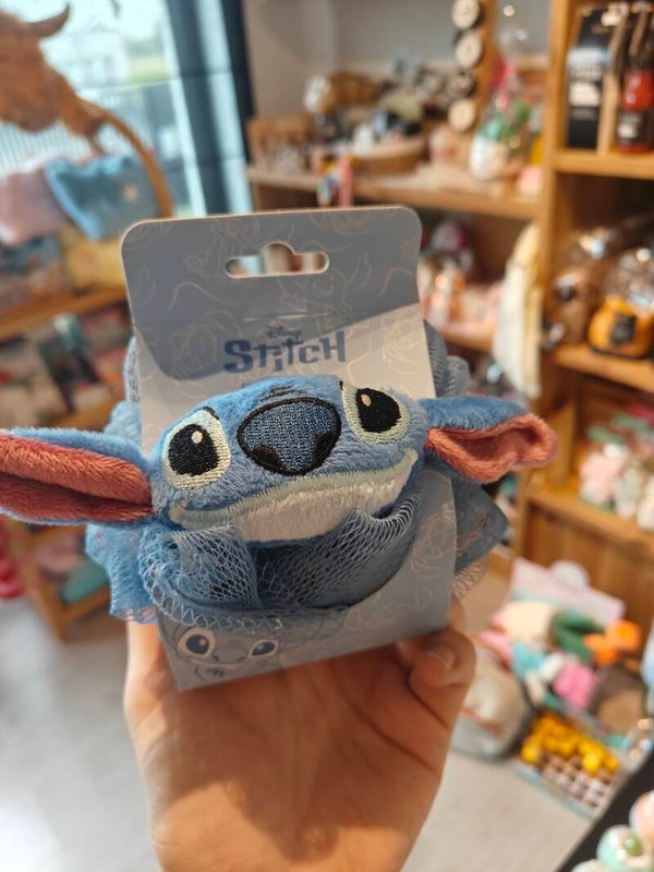 Mesh spons Stitch