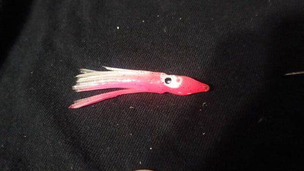 Kokanee/Trout mini squid UV