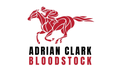 Adrian Clark Bloodstock Consultancy Ltd