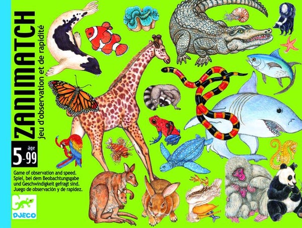 DJECO Zanimatch DJ05153