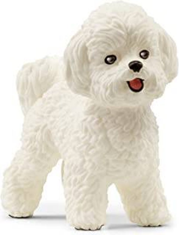 SCHLEICH Bichon Frise 13963