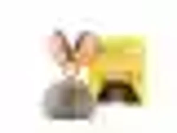 TONIES HÖRFIGUR : Der Löwe in dir