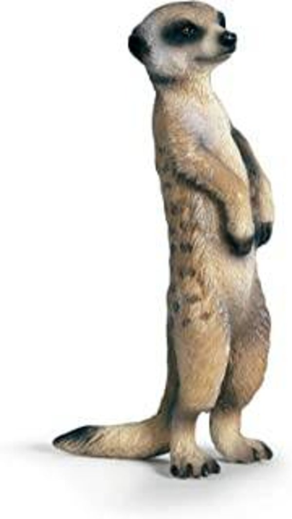 SCHLEICH Erdmännchen stehend
