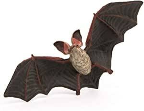 PAPO Fledermaus 50239