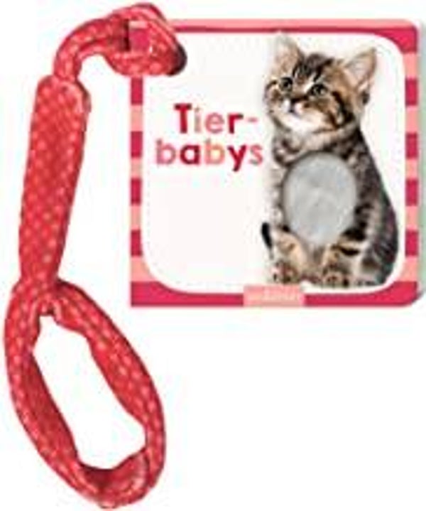 ARS EDITION Tierbabys Foto-Buggybuch