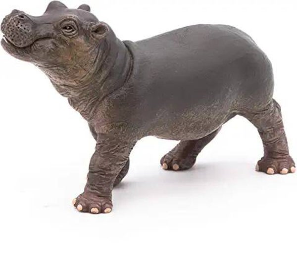 PAPO Nilpferd  Junges50052