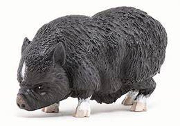 PAPO  Hängebauchschwein51190