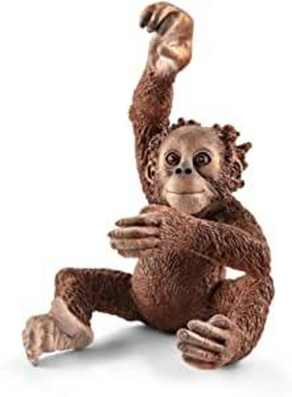 SCHLEICH 14776 Orang-Utan Junges 14776