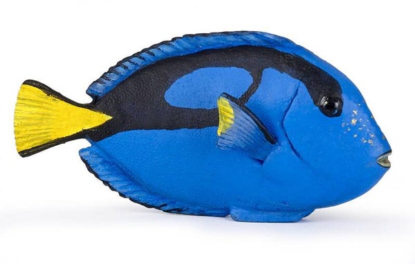 PAPO Doktorfisch 56024