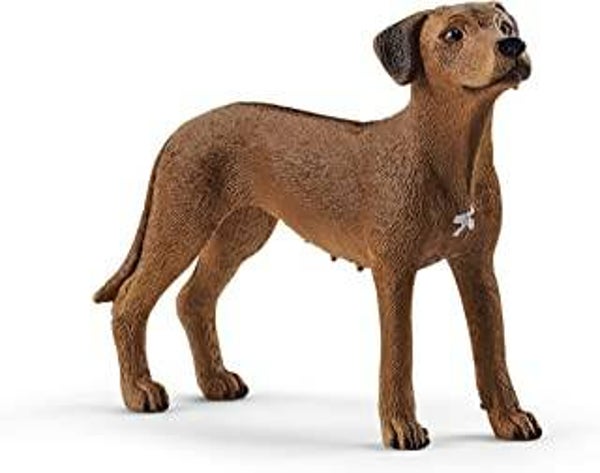 SCHLEICH  Farm WorldRhodesian Ridgeback  13895