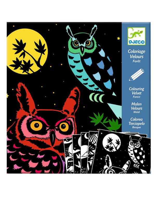 DJECO Samtbild Wald  DJ09623